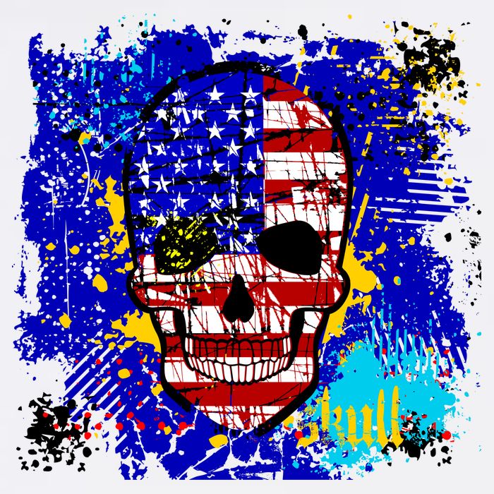 USA Grunge Skull Poster