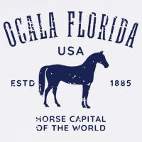 USA Horse Capital Distressed Equestrian Design Kids Hoodie