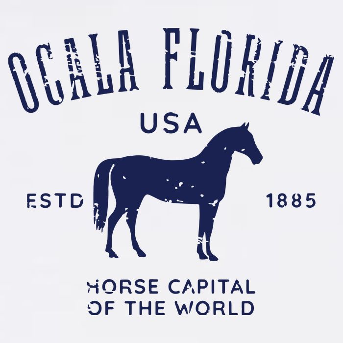 USA Horse Capital Distressed Equestrian Design Kids Hoodie