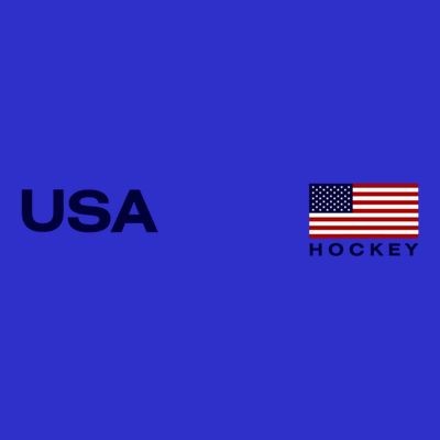 Usa Hockey Flag Gift T-Shirt