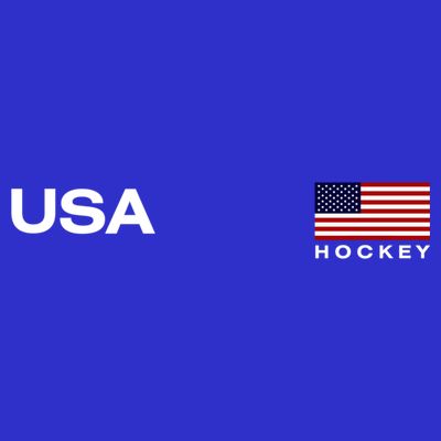 Usa Hockey Flag Gift T-Shirt
