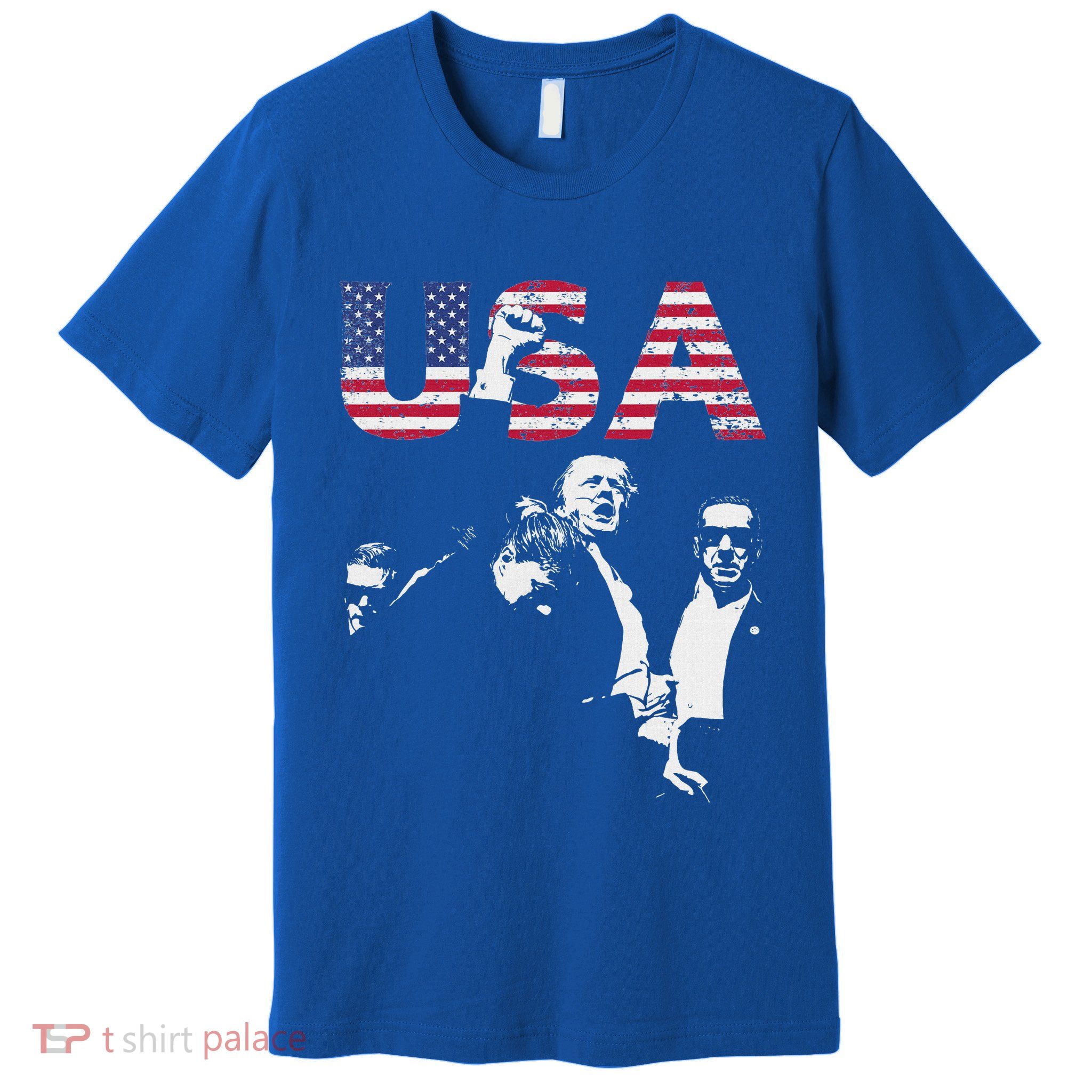 Usa Inauguration Day 2025 Vance 2028 Premium T-Shirt