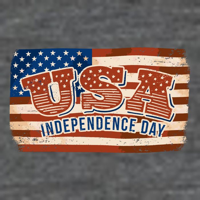 USA Independence Day Vintage Flag Toddler T-Shirt