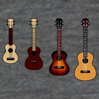 Ukulele Quad 7 Panel Mesh Trucker Snapback Hat