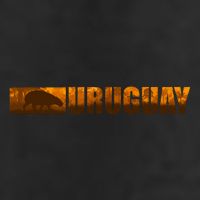 Uruguay Logo 11oz C Handle Ceramic Mug
