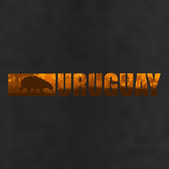 Uruguay Logo 11oz C Handle Ceramic Mug