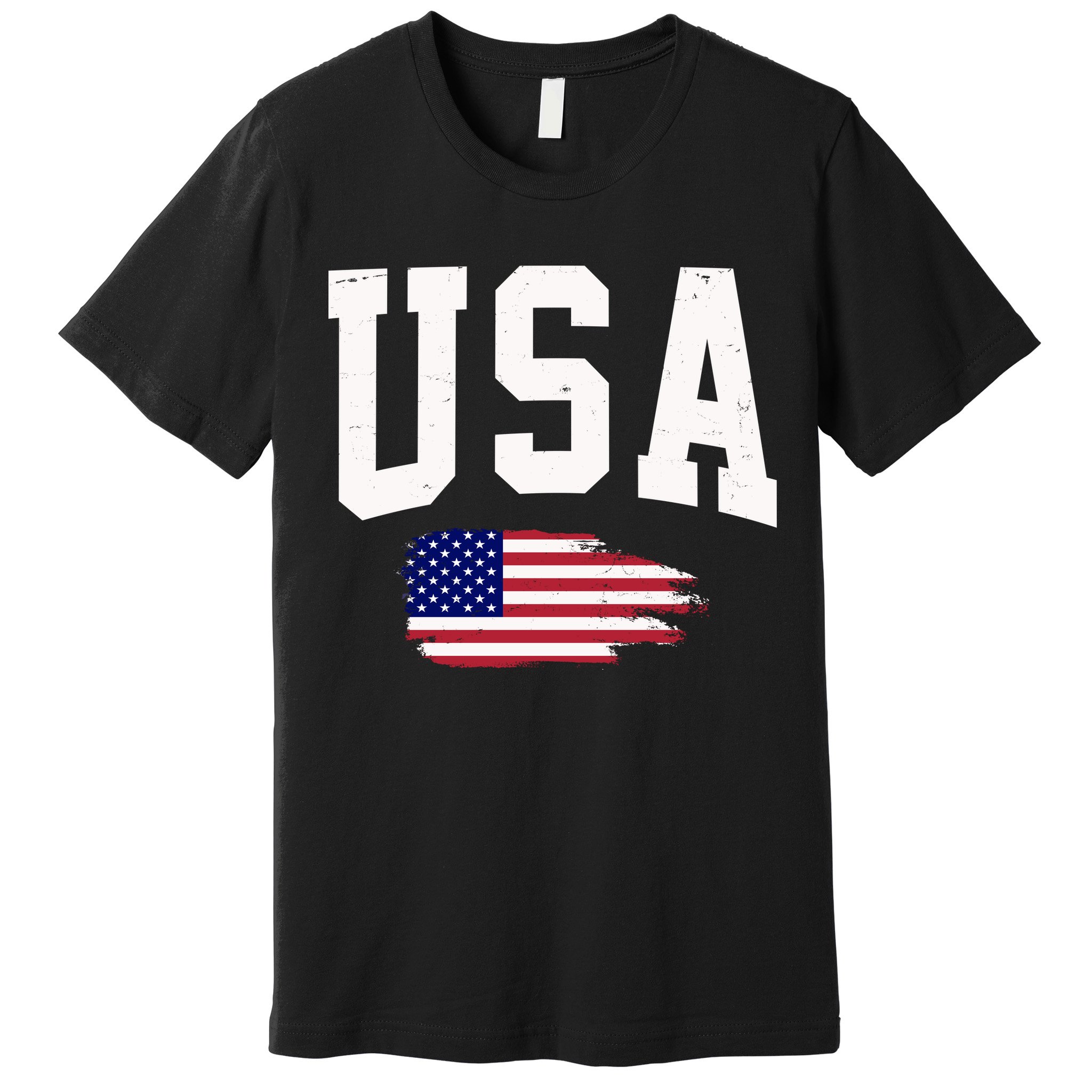USA Logo Vintage Team Flag America Premium T-Shirt