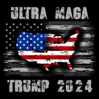 Ultra MAGA Betsy USA Flag Trump 2024 Anti Biden Toddler T-Shirt