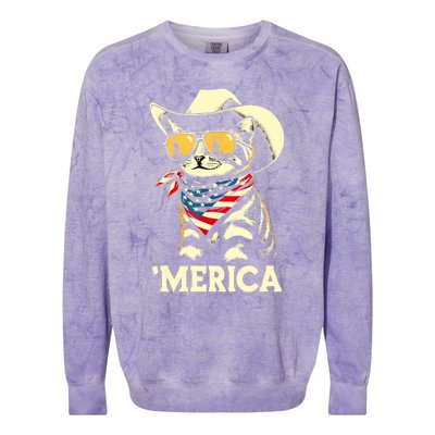 Usa Merica Cat 4th Of July Funny Patriotic Colorblast Crewneck Sweatshirt