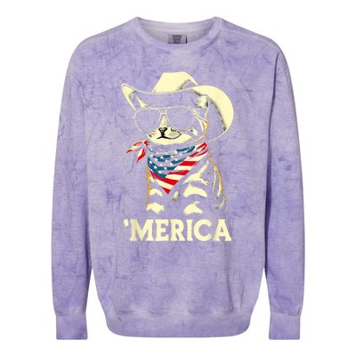 Usa Merica Cat 4th Of July Funny Patriotic Colorblast Crewneck Sweatshirt