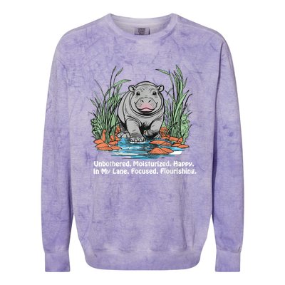 Unbothered Moo Deng Bouncy Pig Colorblast Crewneck Sweatshirt