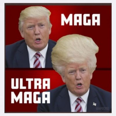 Ultra Maga Donald J Trump Ultra Maga T-Shirt
