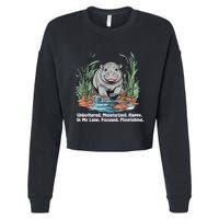 Unbothered Moo Deng Bouncy Pig Meme Cute Baby Hippo Viral Cropped Pullover Crew