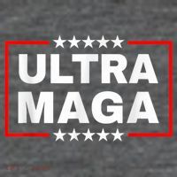 Ultra Mega Funny Anti Joe Biden Poster