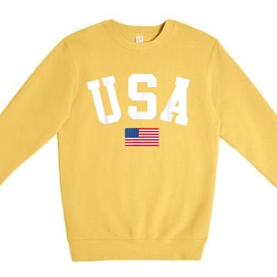 USA Men Women American Flag Patriotic 4th Of July Premium Crewneck Sweatshirt