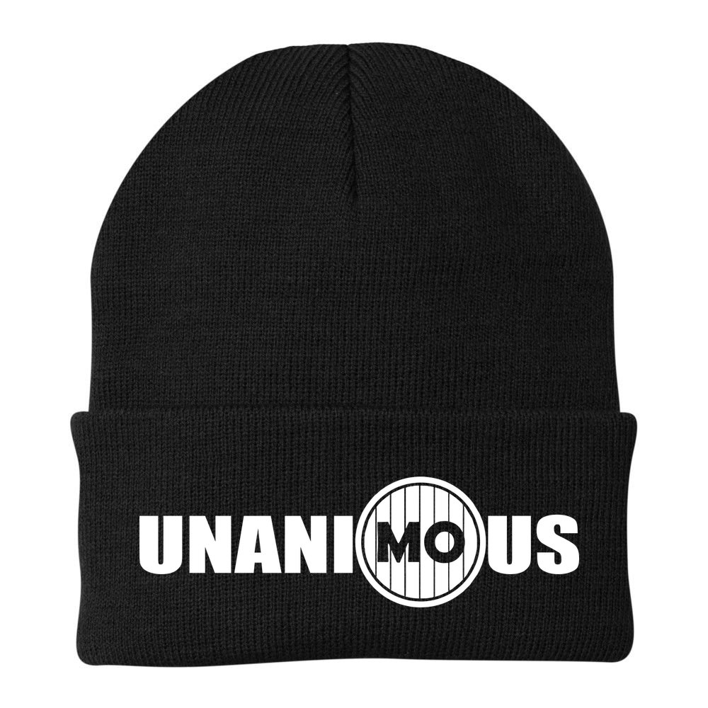 UnaniMOus Beanie