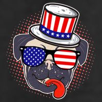 Uncle Sam Pug Adult Drive Performance Visor
