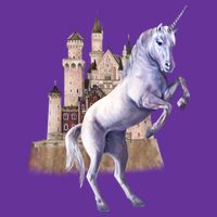 Unicorn Castle Womens T-Shirt