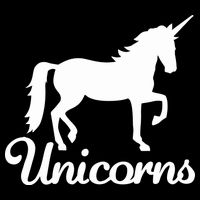 Unicorn Logo Hoodie