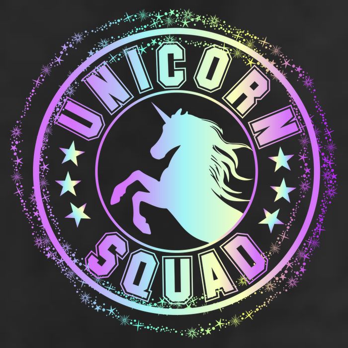 Unicorn Squad Holographic Garment-Dyed Heavyweight T-Shirt