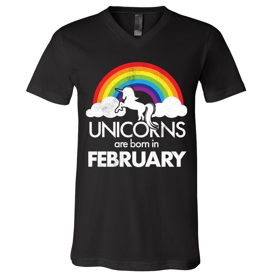 Unicorns Are Born in February  V-Neck T-Shirt