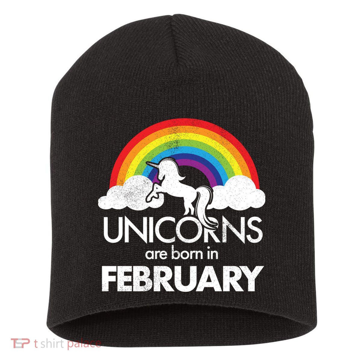Unicorns Are Born in February  Short Acrylic Beanie