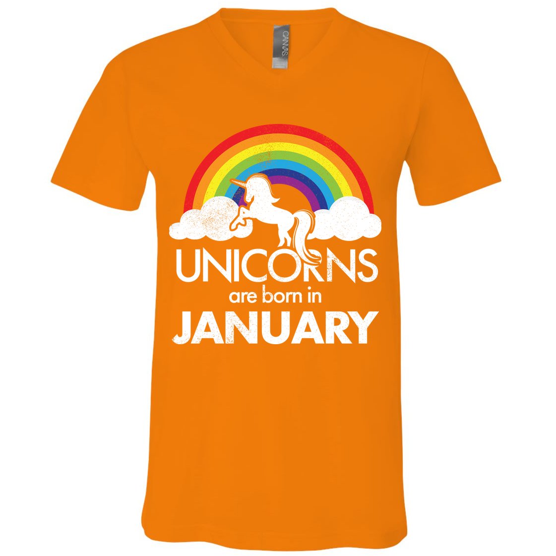 Unicorns Are Born in January V-Neck T-Shirt