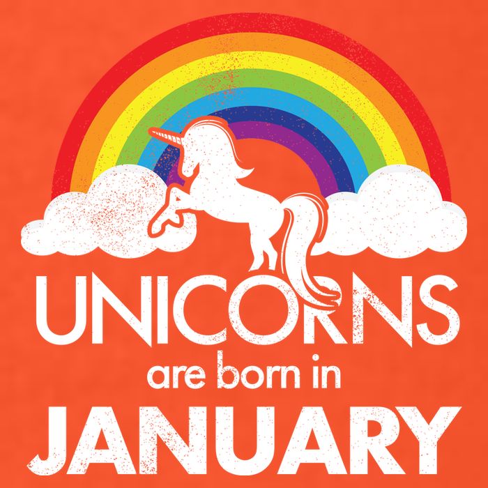 Unicorns Are Born in January Premium T-Shirt