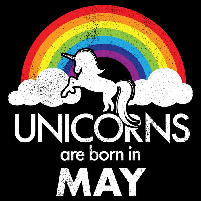 Unicorns Are Born in May Bucket Hat