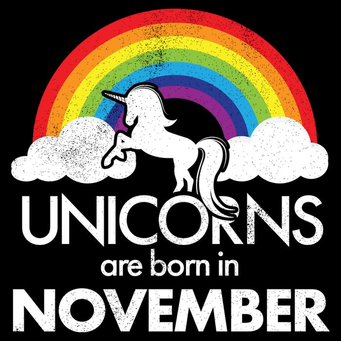 Unicorns Are Born In November Rainbow Retro Wool Snapback Cap