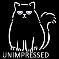 Unimpressed Funny Angry Cat Hoodie