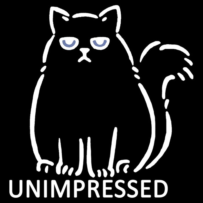 Unimpressed Funny Angry Cat Hoodie