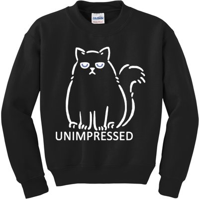 Unimpressed Funny Angry Cat Kids Sweatshirt