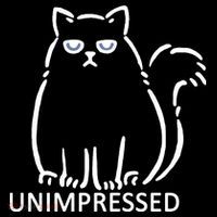 Unimpressed Funny Angry Cat Short Acrylic Beanie