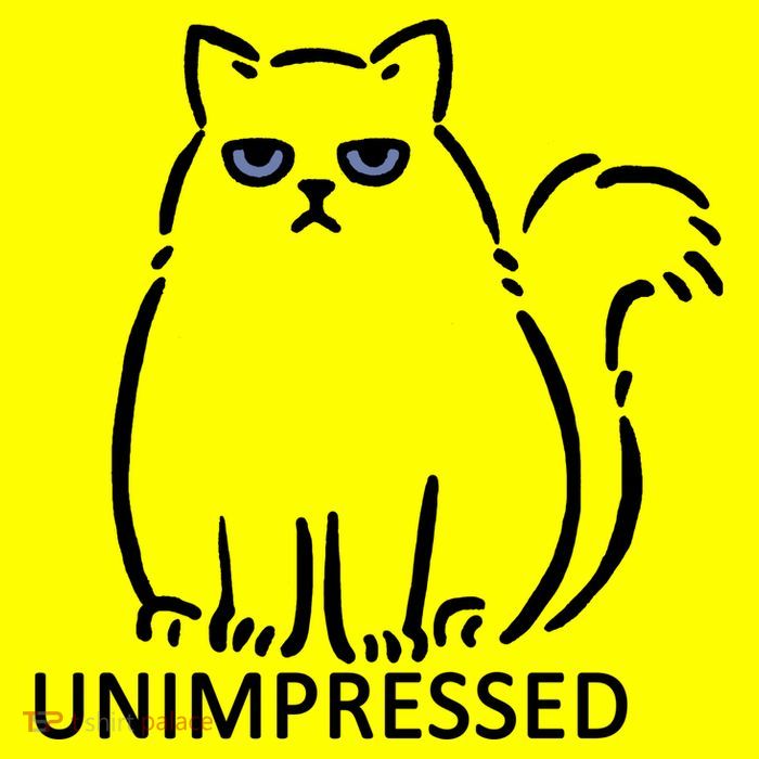 Unimpressed Funny Angry Cat 11oz C Handle Ceramic Mug