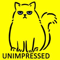 Unimpressed Funny Angry Cat Womens T-Shirt