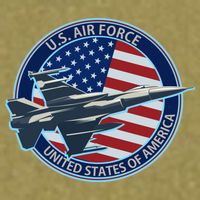 United States Air Force Logo Garment-Dyed Women's Muscle Tee
