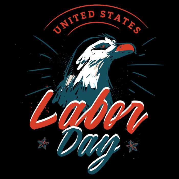 United States Labor Day Eagle Flatbill Hat