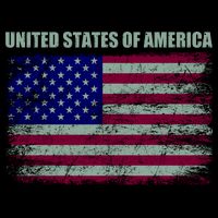United States Of America V-Neck T-Shirt