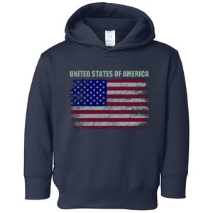 United States Of America Toddler Hoodie