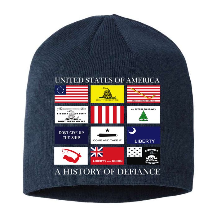 United States Of America A History Of Defiance  Sustainable Beanie