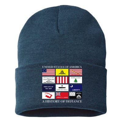 United States Of America A History Of Defiance  Sustainable Knit Beanie