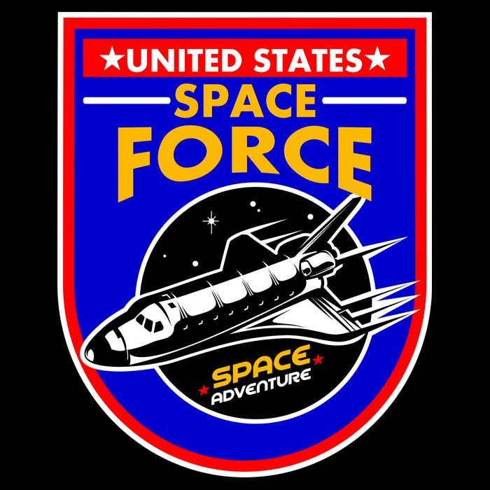 United States Space Force Adventure USSF 16 in Basic Backpack