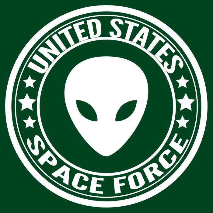 United States Space Force Alien Poster