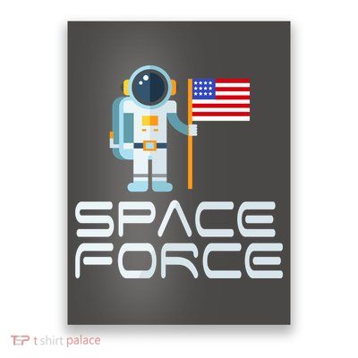 United States Space Force Astronaut Flag Poster
