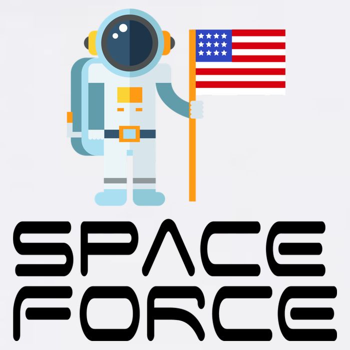 United States Space Force Astronaut Flag Garment-Dyed Sweatshirt