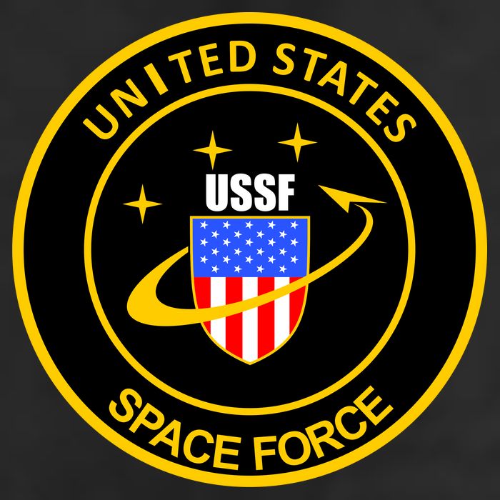 United States Space Force USSF Adult Drive Performance Visor