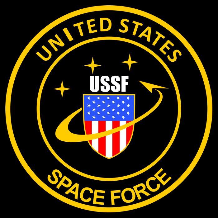 United States Space Force USSF Wool Snapback Cap