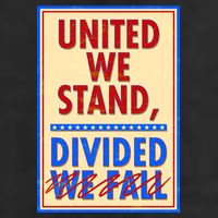 United We Stand Divided Adult Drive Performance Visor