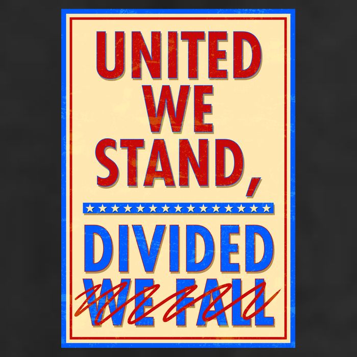 United We Stand Divided Adult Drive Performance Visor